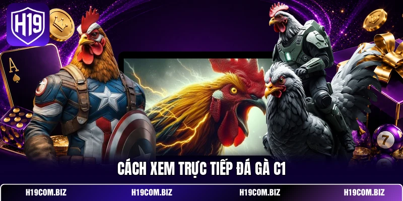 Đá Gà Trực Tiếp C1 – Theo Dõi Thomo Cực Đã Trên H19 3 Cách xem trực tiếp đá gà C1