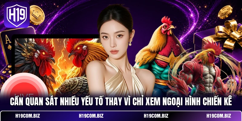 Cần quan sát nhiều yếu tố thay vì chỉ xem ngoại hình chiến kê