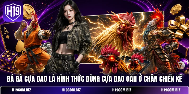 Đá gà cựa dao là hình thức dùng cựa dao gắn ở chân chiến kê