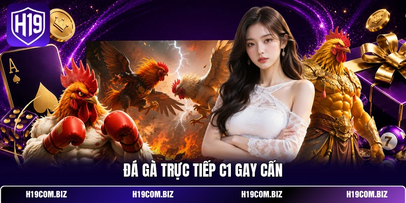 Đá Gà Trực Tiếp C1 – Theo Dõi Thomo Cực Đã Trên H19 2 Đá gà trực tiếp C1 gay cấn