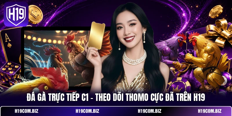 Đá Gà Trực Tiếp C1 – Theo Dõi Thomo Cực Đã Trên H19 1 Đá Gà Trực Tiếp C1