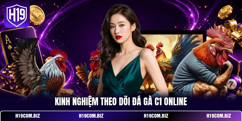 Đá Gà Trực Tiếp C1 – Theo Dõi Thomo Cực Đã Trên H19 4 Kinh nghiệm theo dõi đá gà C1 online