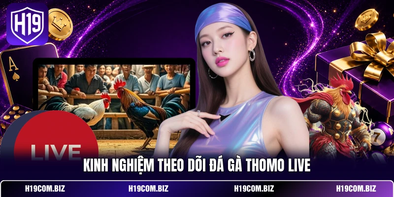 Kinh nghiệm theo dõi đá gà Thomo live